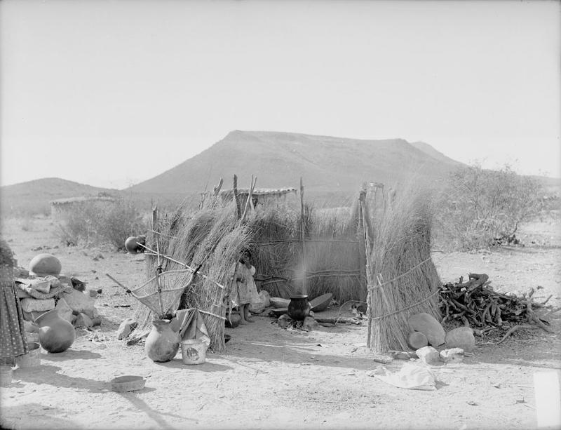 Picture showing Oodham cooking shelter from 1894.